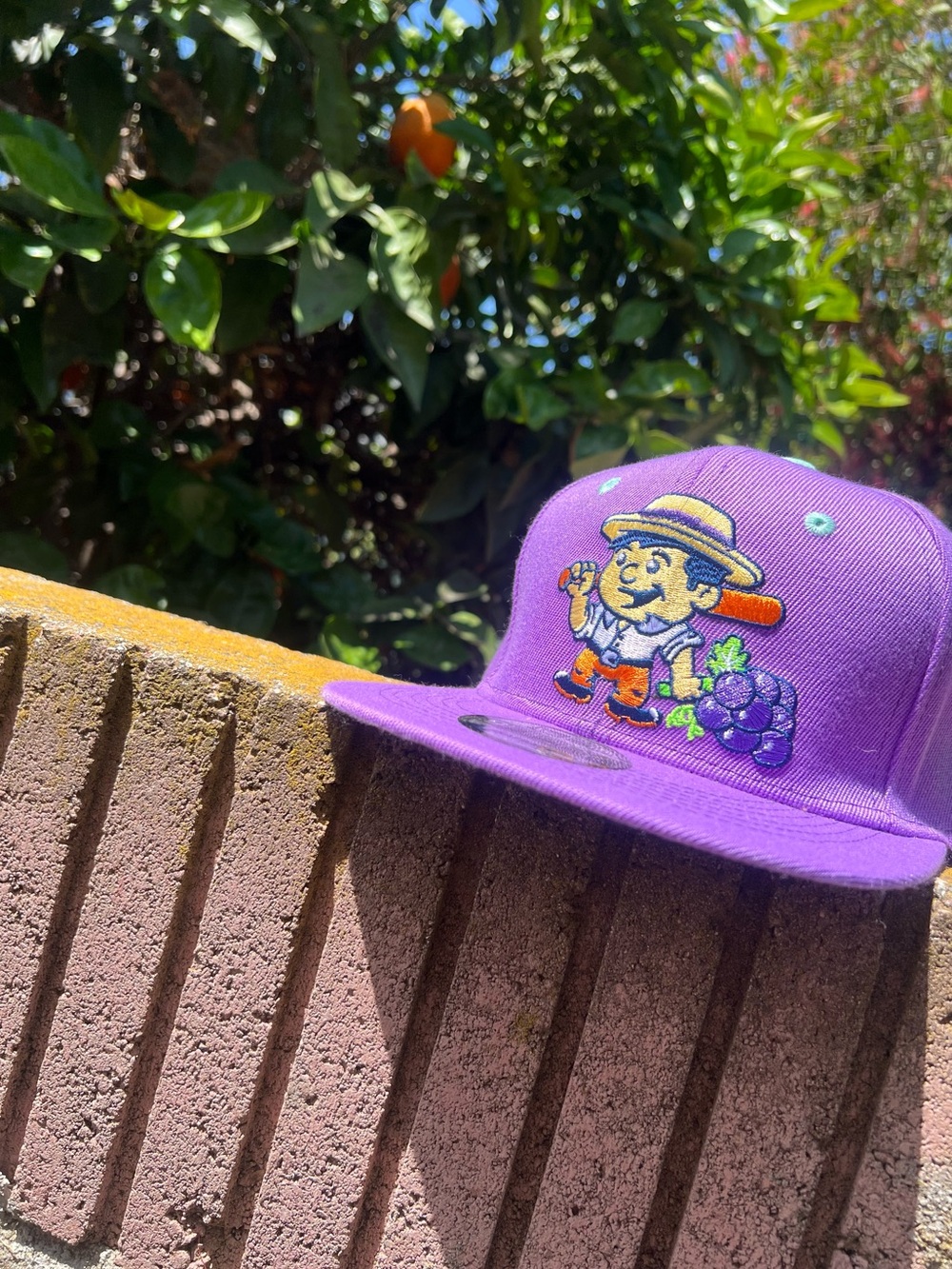 TRI - CITY DUST DEVILS SNAPBACK HAT